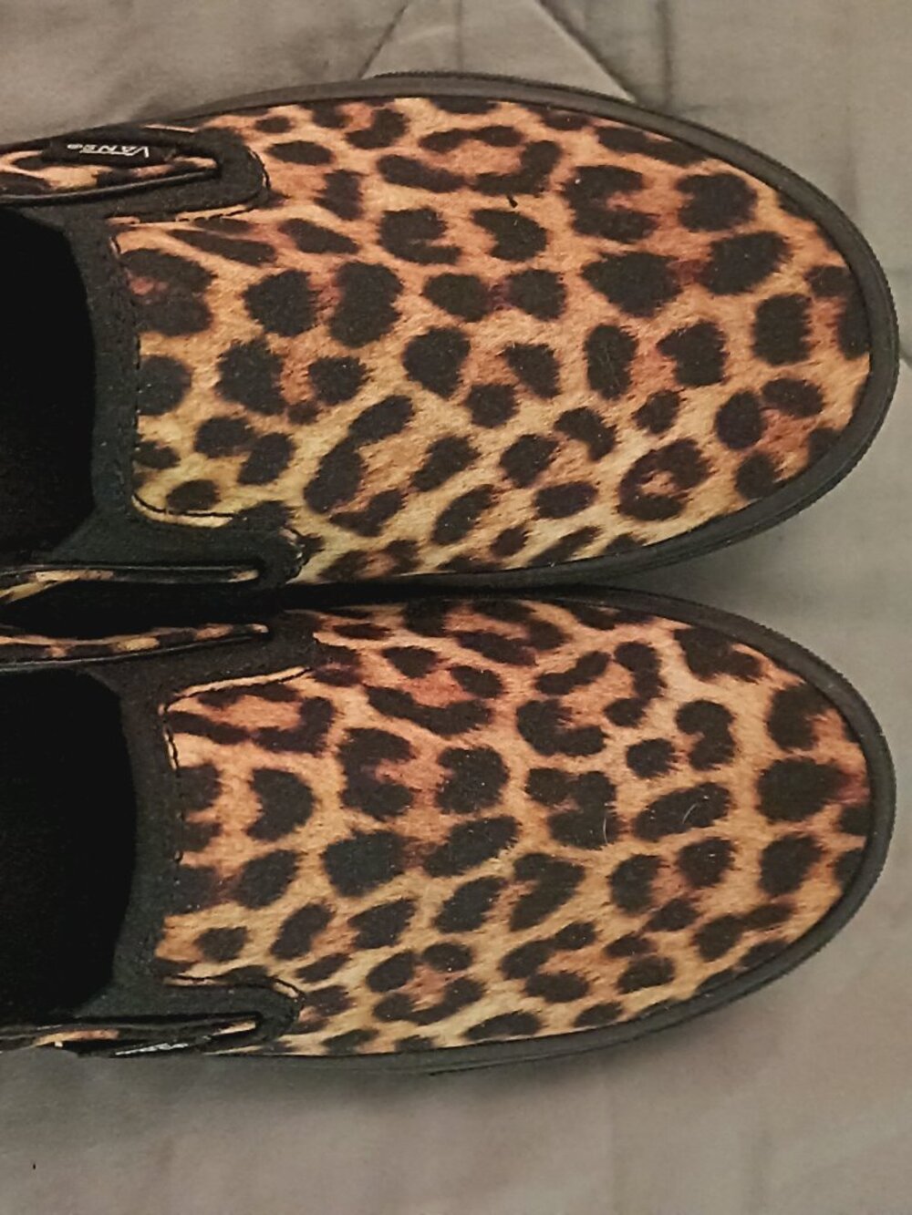 Cheetah vans